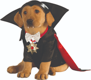 Ruby Slippers Dracula Pet Costume Medium