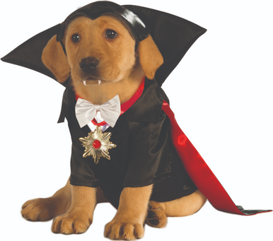 Ruby Slippers Dracula Pet Costume Extra Large