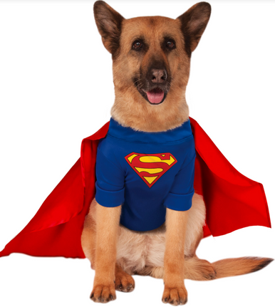Ruby Slippers Superman Pet Costume Medium