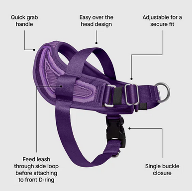 Canada Pooch Re-Direct Harness Extra  Extra Large Purple/ Lavender