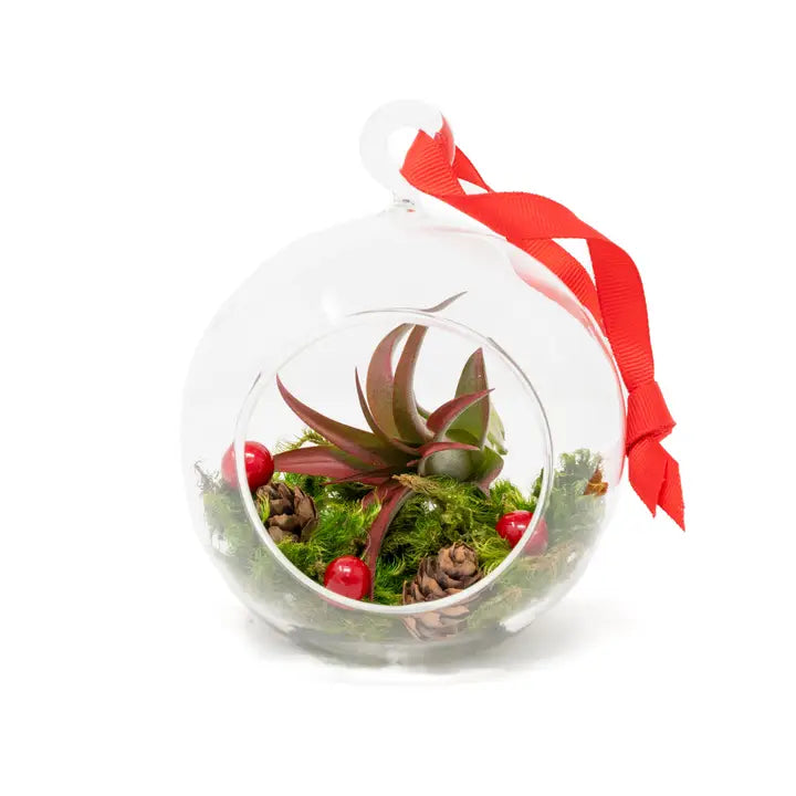Festive Forest Ornaments with Red Abdita and White Tectorum