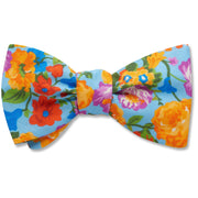 Summerside - bow ties