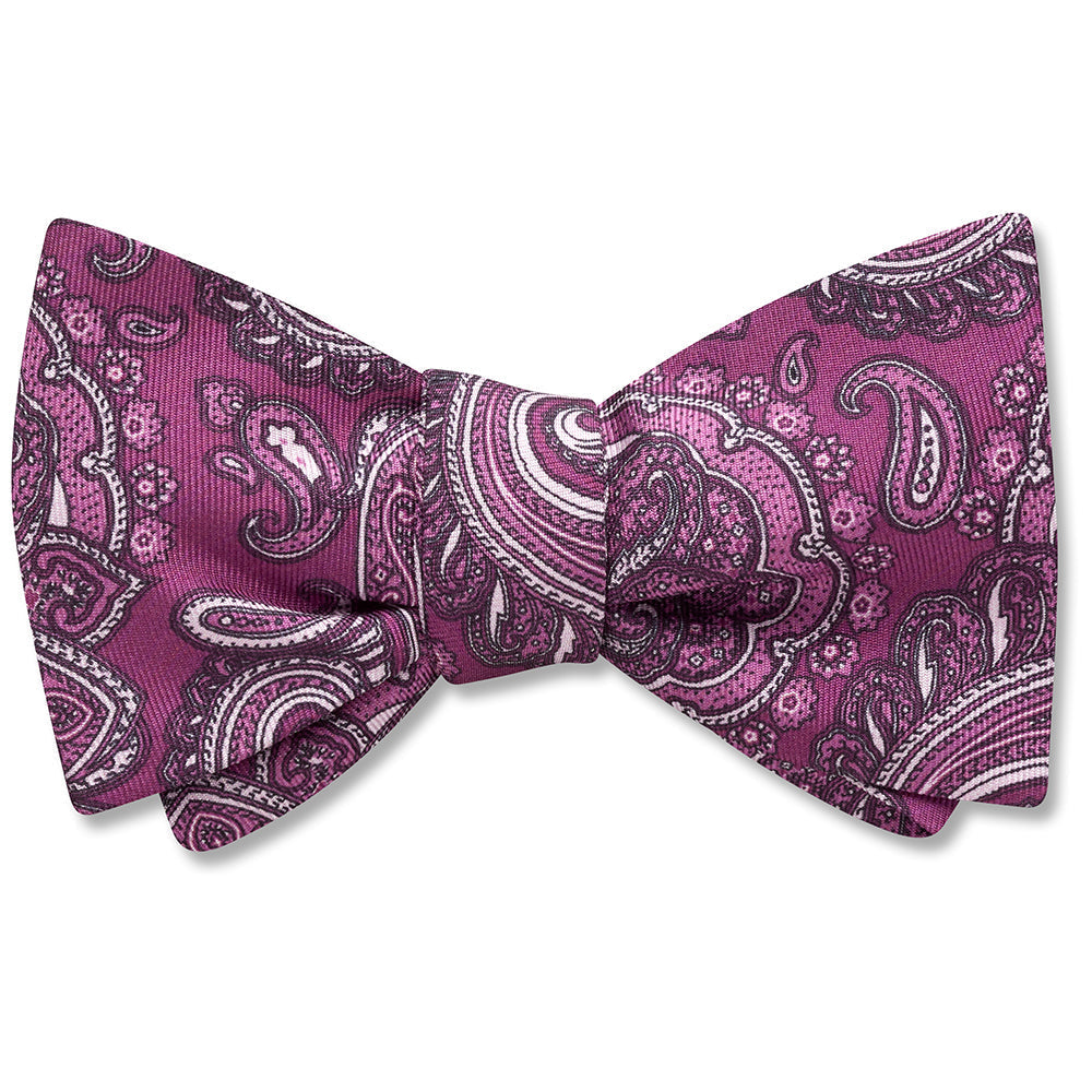 Susina Cove - bow ties