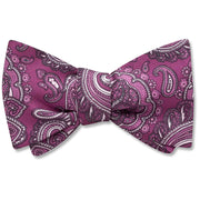 Susina Cove - bow ties