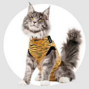 Suitical Recovery Suit Cat Tiger Extra Extra Small
