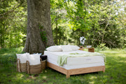 Savvy Rest Serenity Organic Latex Mattress
