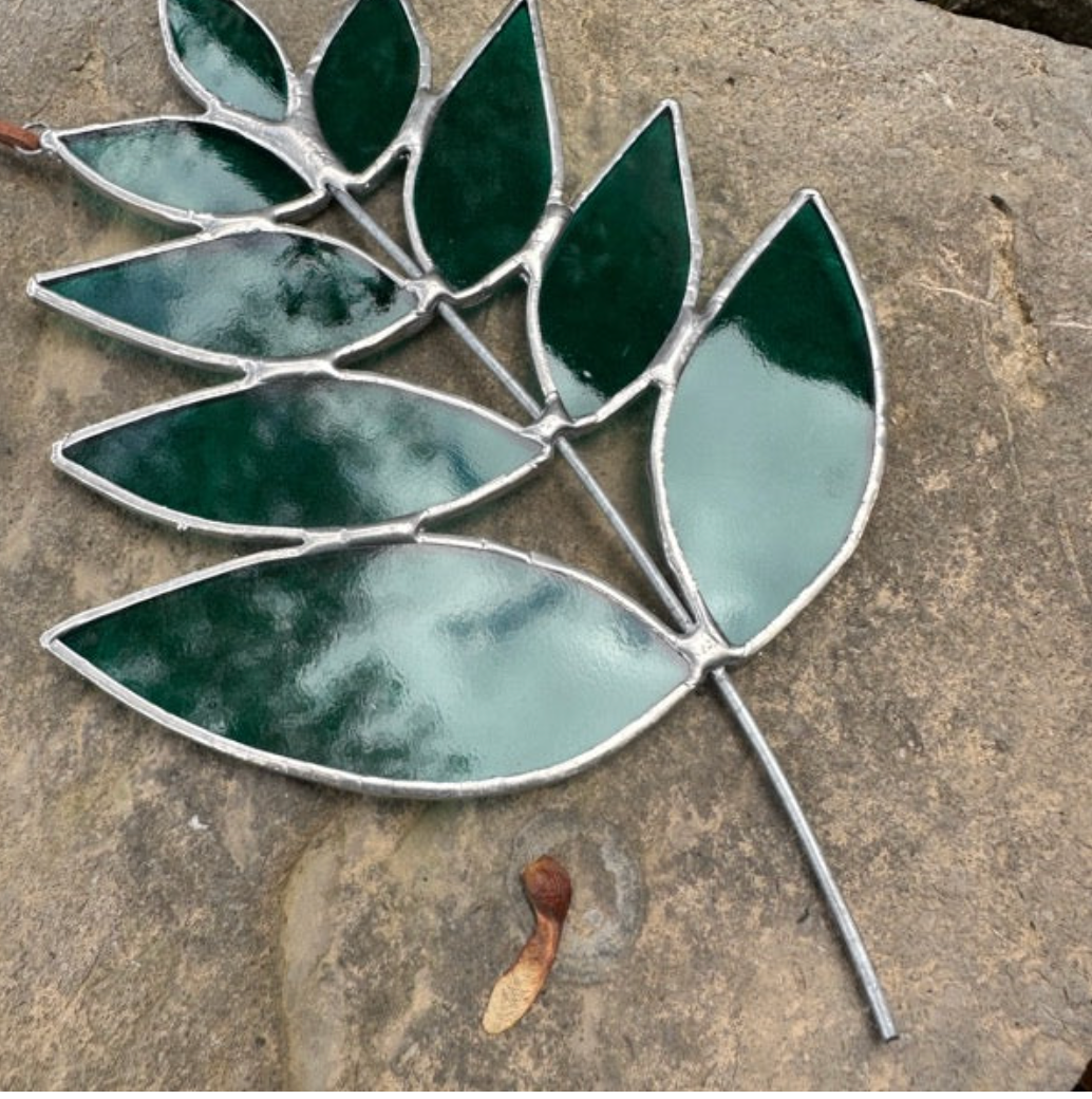 Root Studio - Dark Green Hanging Fern by SidePony Boutique