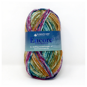 Plymouth Encore Colorspun by Must Love Yarn