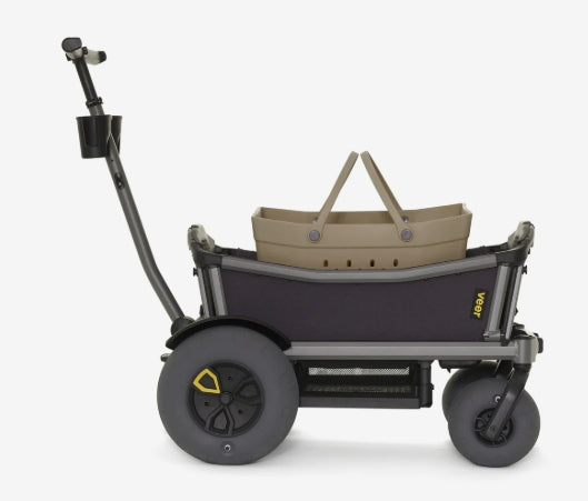 Veer Beach Tote