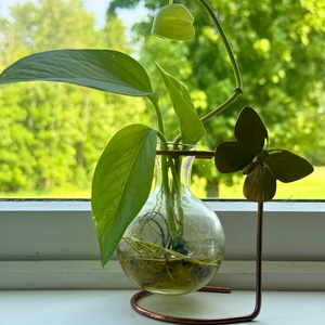 Standing Globe Vase