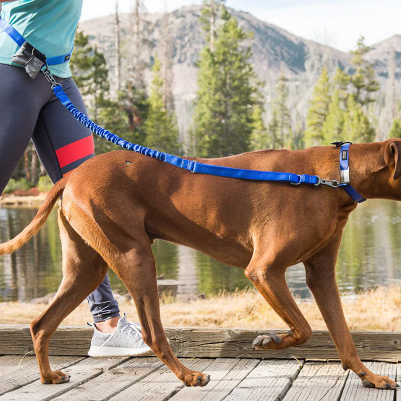 Stunt Puppy Reflective Stunt Runner Leash