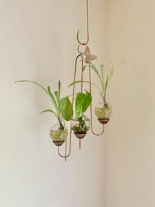 Triple Hanging Vase Display