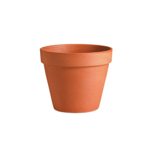 6" Standard Terracotta Pot by Homeportonline