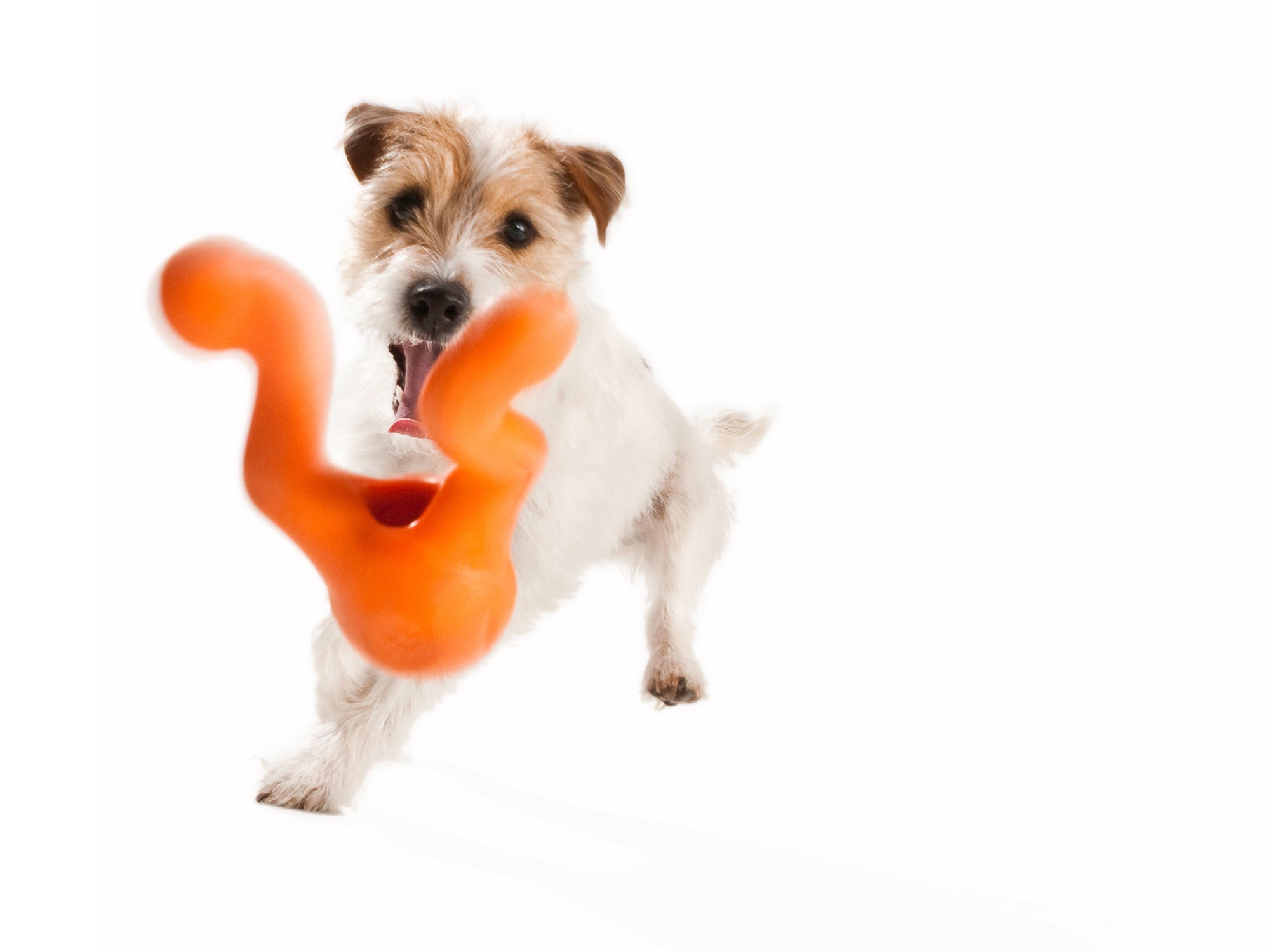 West Paw Tizzi Treat Stuffing Toy