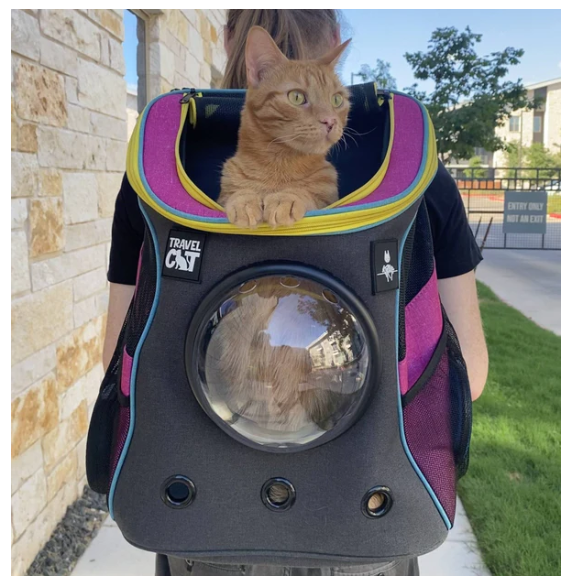 Travel Cat Stray x Travel Cat Backpack Limited-Edition by Pet Food Warehouse