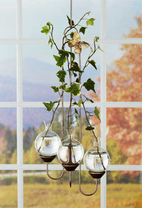 Triple Hanging Vase Display