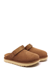 UGG® Goldenstar Clog in Chestnut