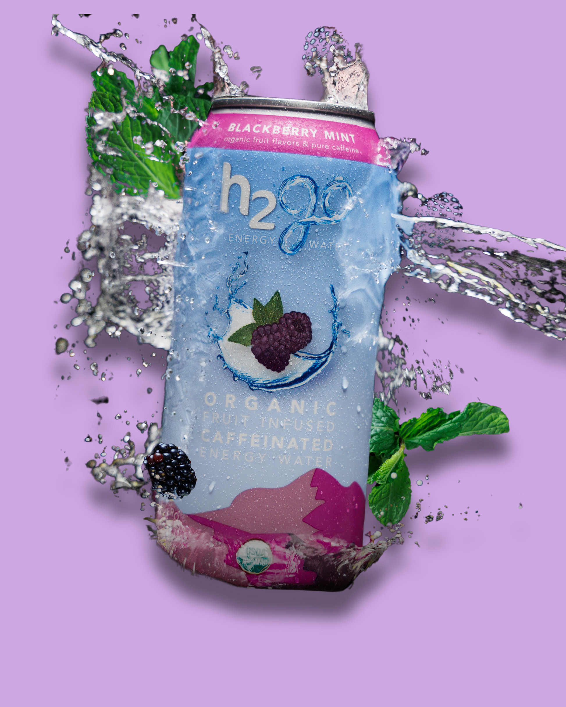 Blackberry Mint 12 Pack by h2go Energy Water