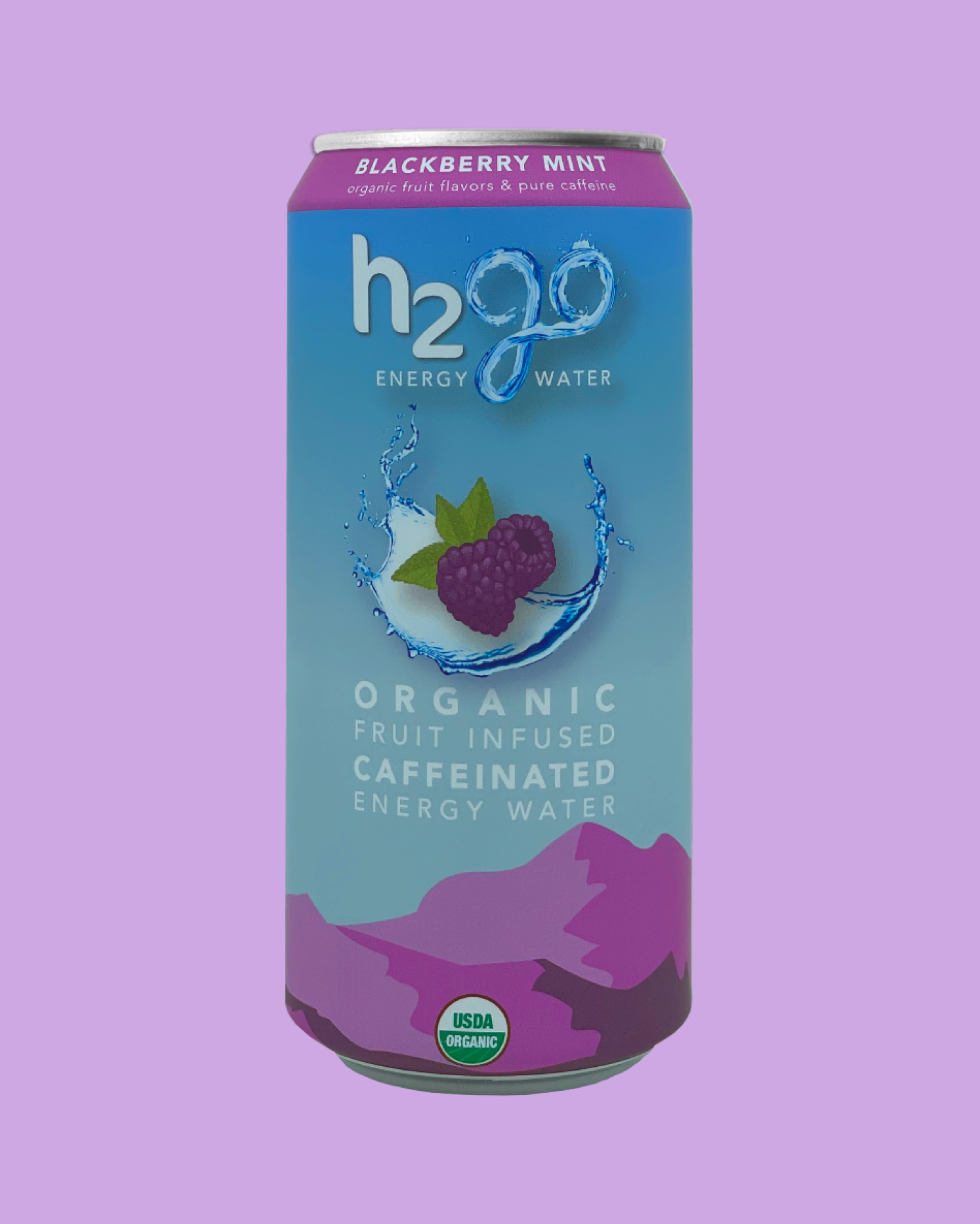 Blackberry Mint 12 Pack by h2go Energy Water