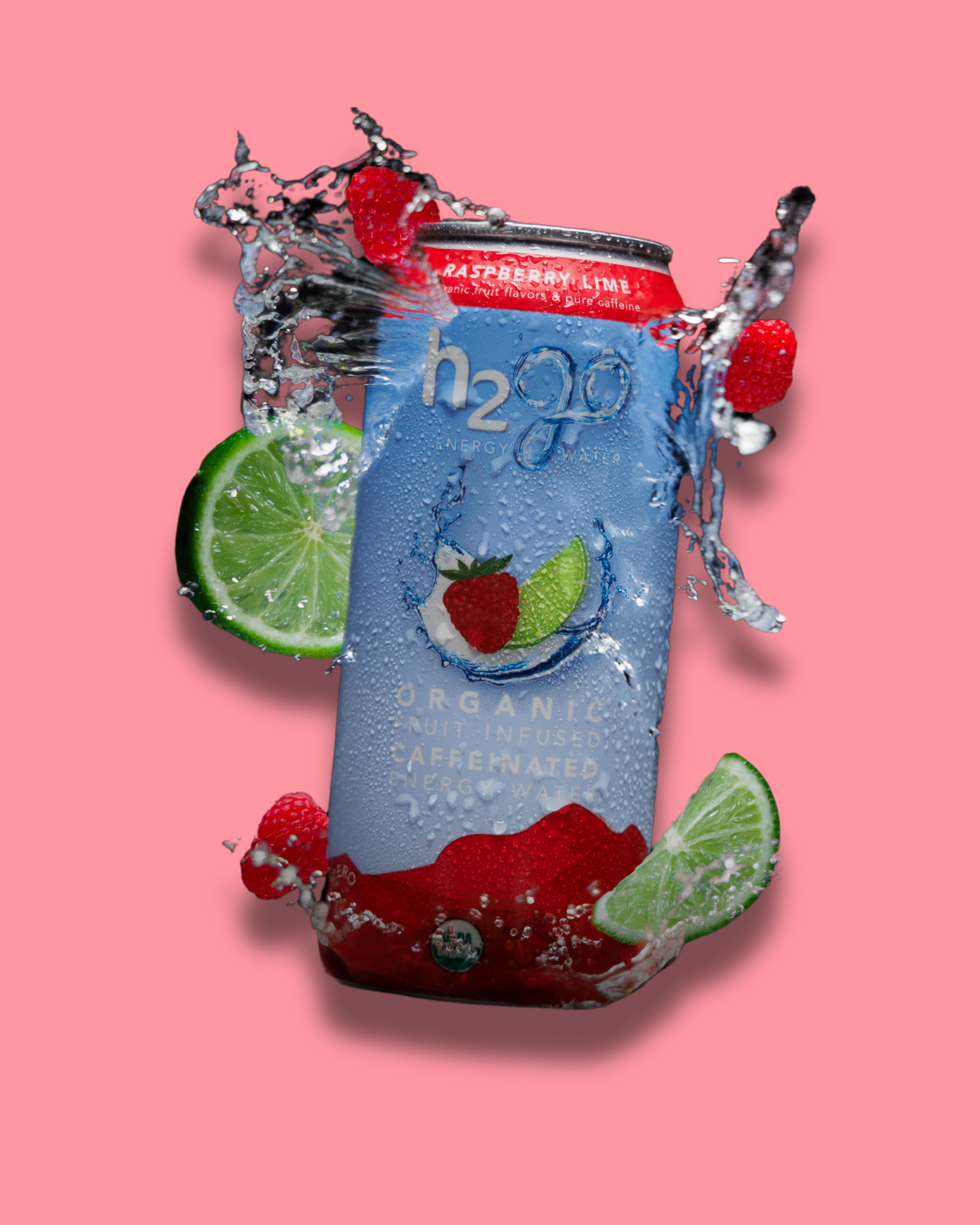 Raspberry Lime 12 Pack by h2go Energy Water