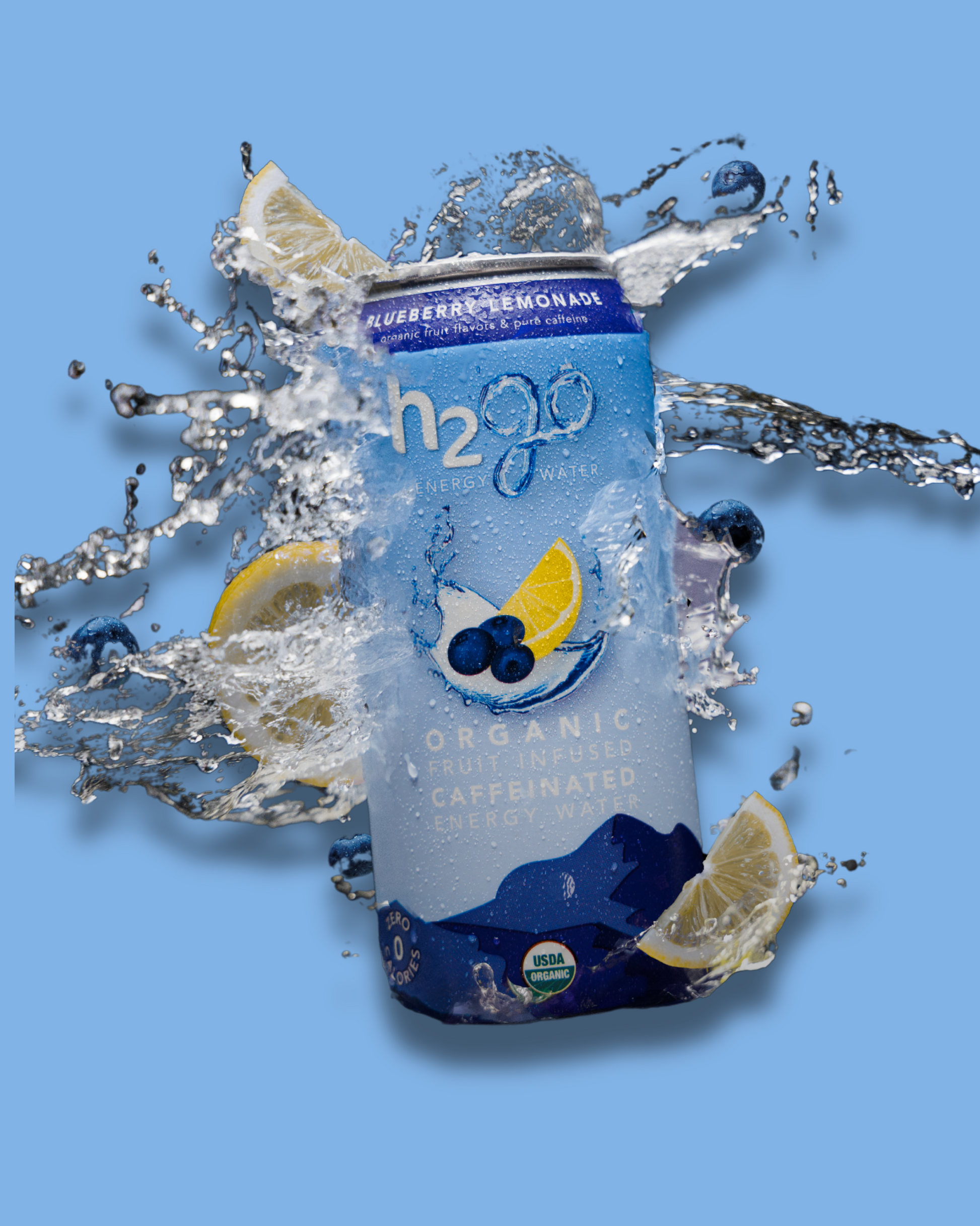 Blueberry Lemonade 12 Pack by h2go Energy Water