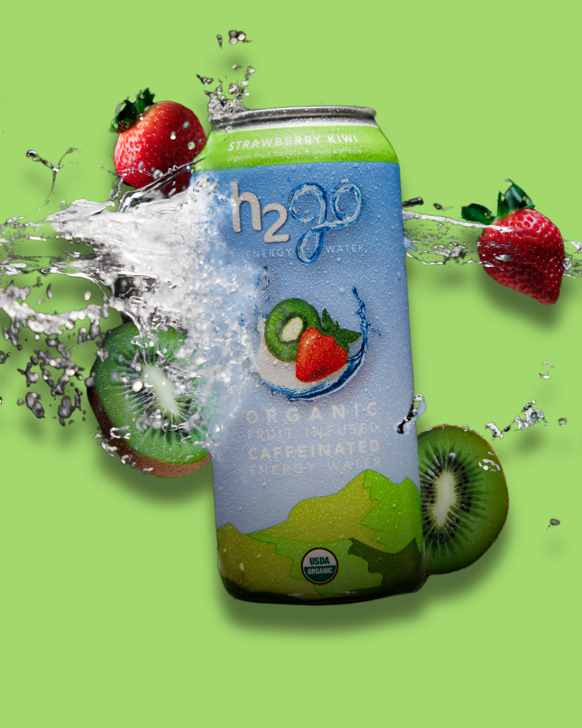 Strawberry Kiwi 12 Pack by h2go Energy Water