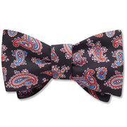 Velletri - bow ties