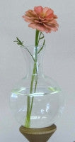 Replacement Glass Vase