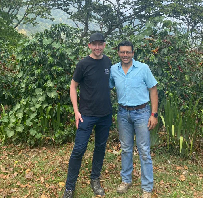 Decaf Honduras