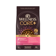 Wellness CORE+ Sensitive Skin and Stomach Salmon Rice Dog Food 4lb