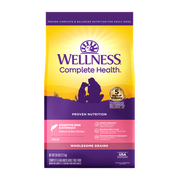 Wellness Complete Health Sensitive Skin & Stomach Wholesome Grains Dog Food 38lb