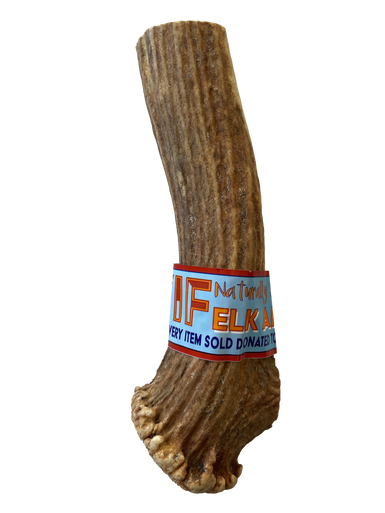 WIF Natural Drop Split Elk Antler Large