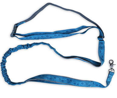 Wingo Bungee Dog Leash Topo Tracks Blue 8'