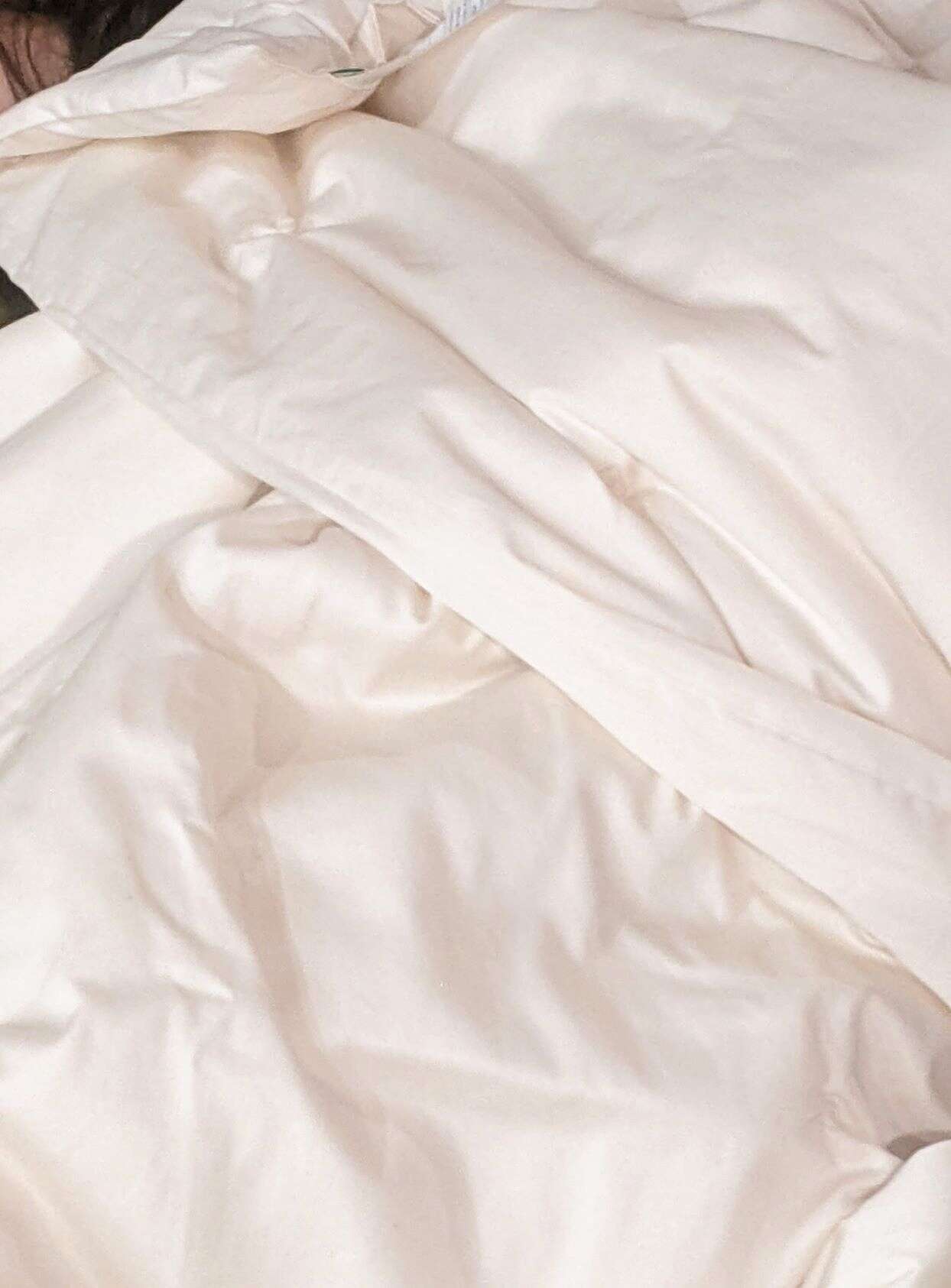 White Lotus Home Wool Duvet - Non Washable