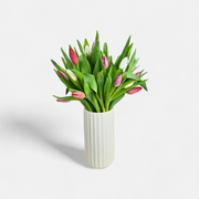 Springy Tulips (Vased)