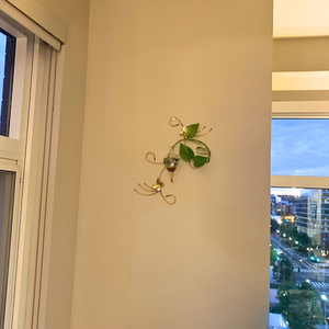 Wall or Hanging Vase