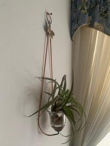 Glass Plant & Candle Holder