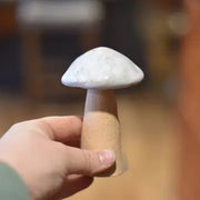 Whimsy Mushroom