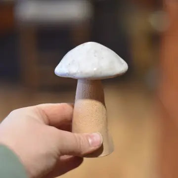 Whimsy Mushroom