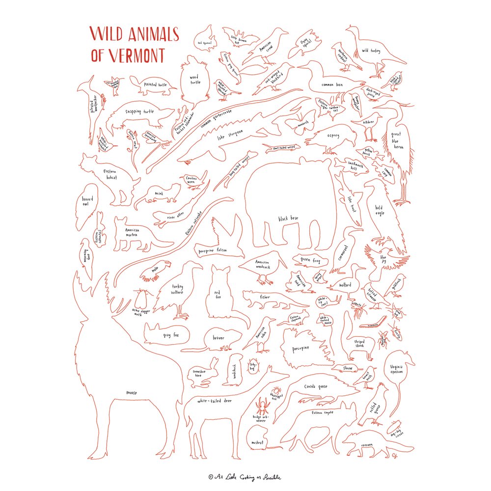 Print - Wild Animals of Vermont - As Little Cooking As Possible