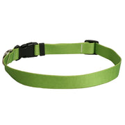Dog Collar 1in wide Large 18inch-28inch Large Spring Green by Homeportonline