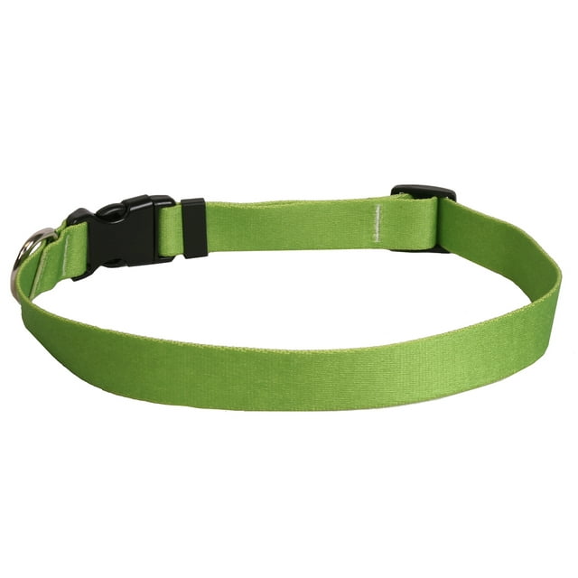 Dog Collar 1in wide Large 18inch-28inch Large Spring Green by Homeportonline