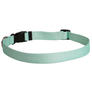 Dog Collar 1in wide Medium 14inch-20inch Winter Frost by Homeportonline