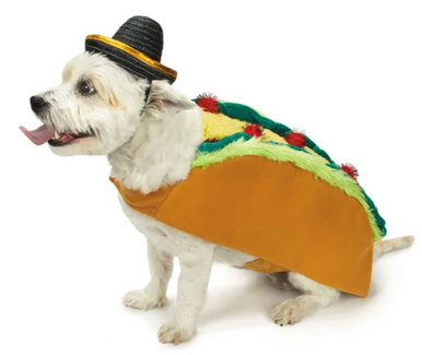 Taco Taco & Sombrero Costume Extra Large