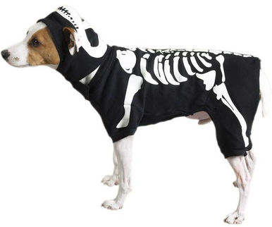 Zack & Zoey Canine Glow Bones Costume Medium