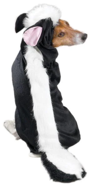 Zack & Zoey Lil'Stinker Costume Small