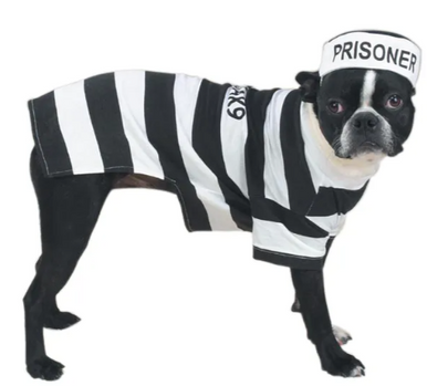 Prison Pooch Costume Extra Large