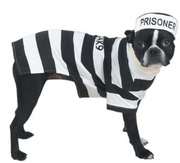 Prison Pooch Costume Extra Extra Large