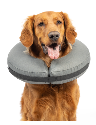 ZenPet The Original ProCollar Large