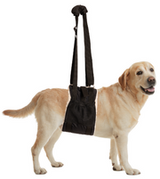 ZenPet Buddy Lift Rehabilitation Sling Back Leg Medium / Large